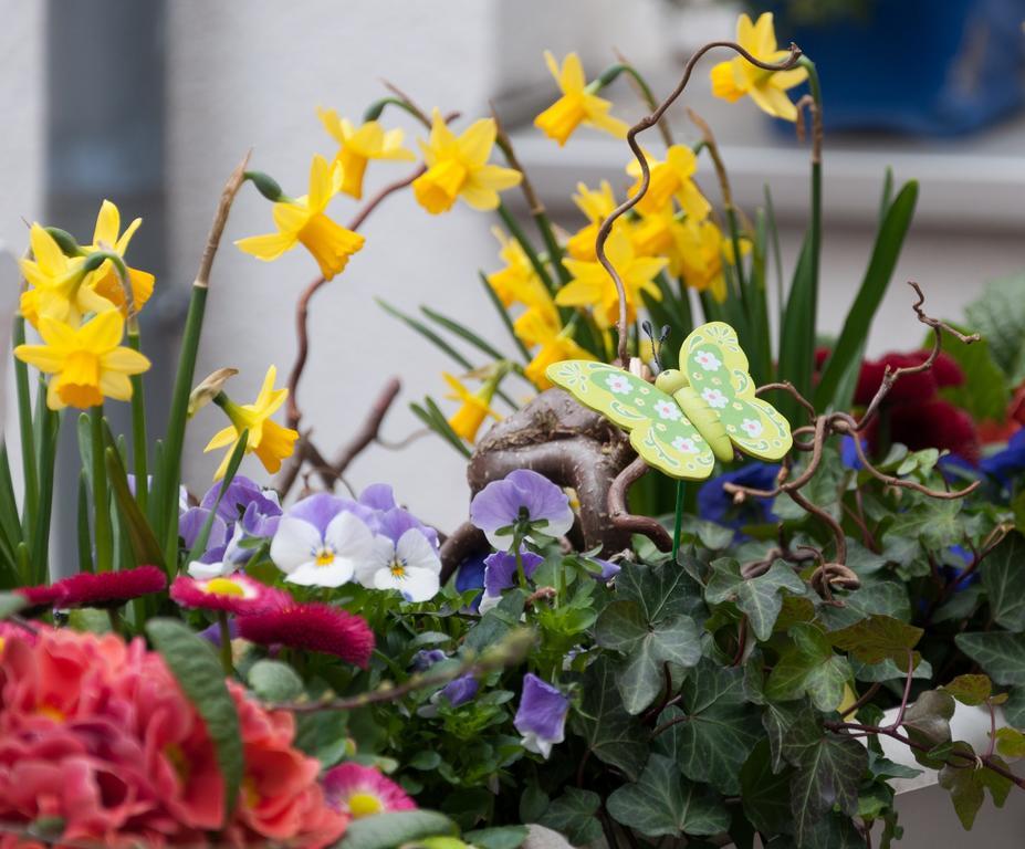 Garni Hotel Drei Lilien Wiesbaden Kültér fotó